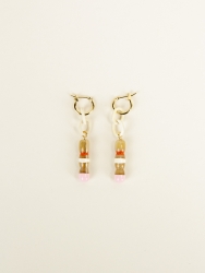 Image descriptive pour la catégorie : Earrings