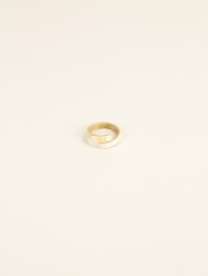 Image descriptive pour la catégorie : Rings
